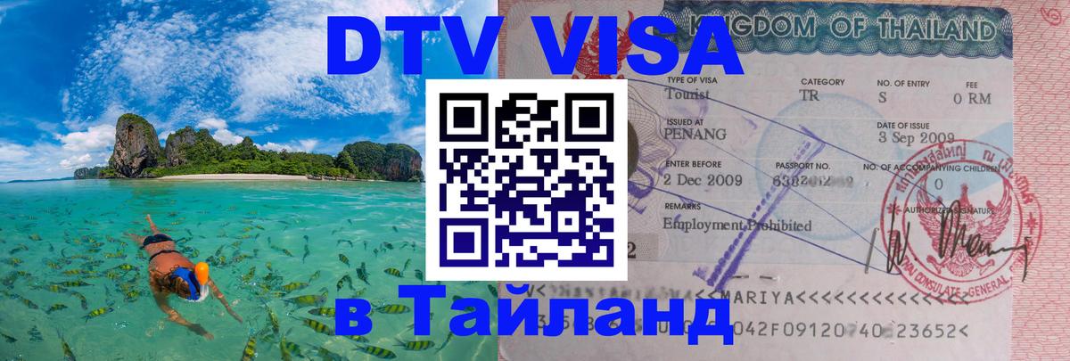 Оформление DTV визы под ключ: стоимость и тарифы, только загранпаспорт - Новомосковск 